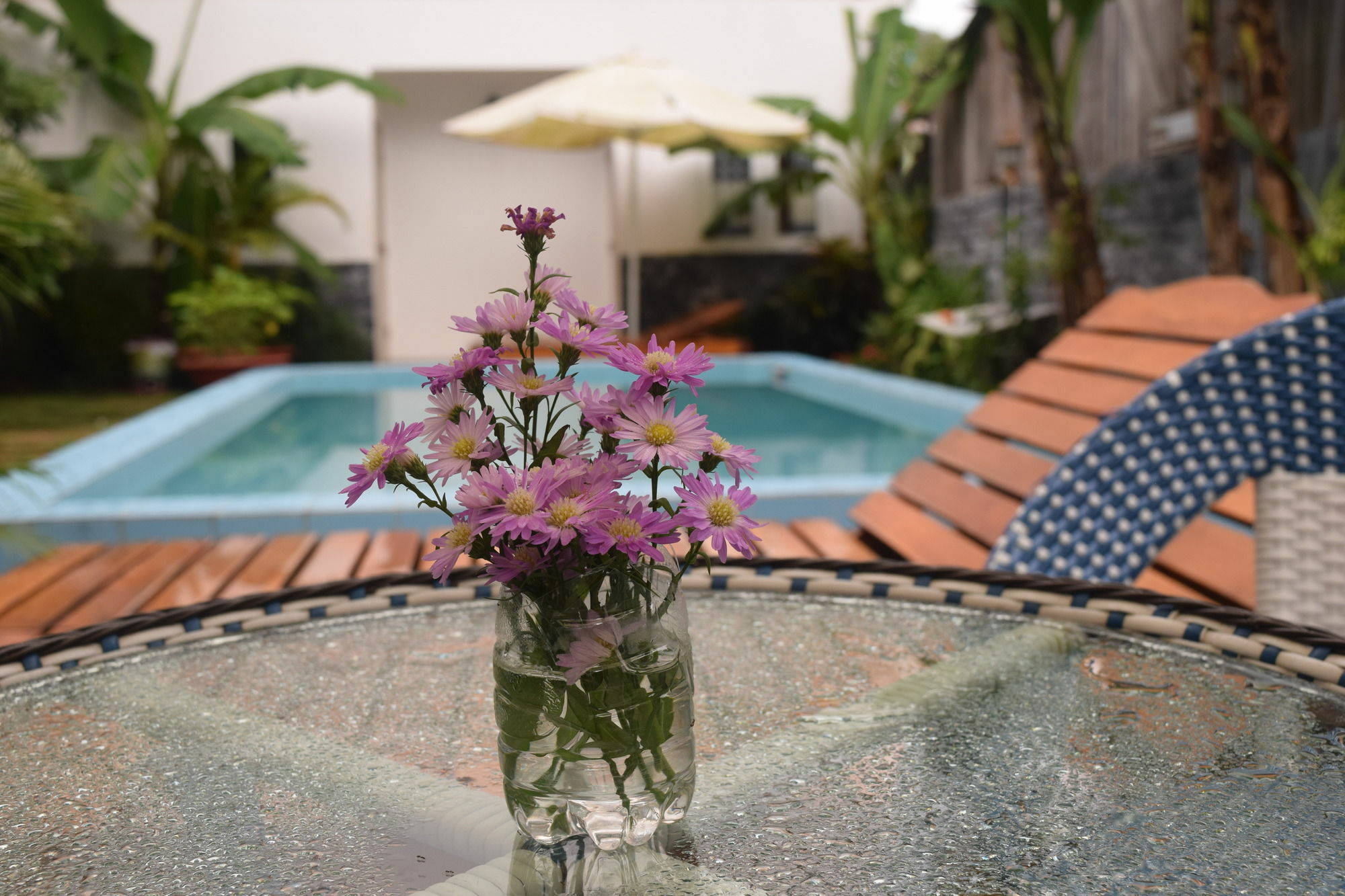 Orchid Guesthouse 두옹 동 외부 사진